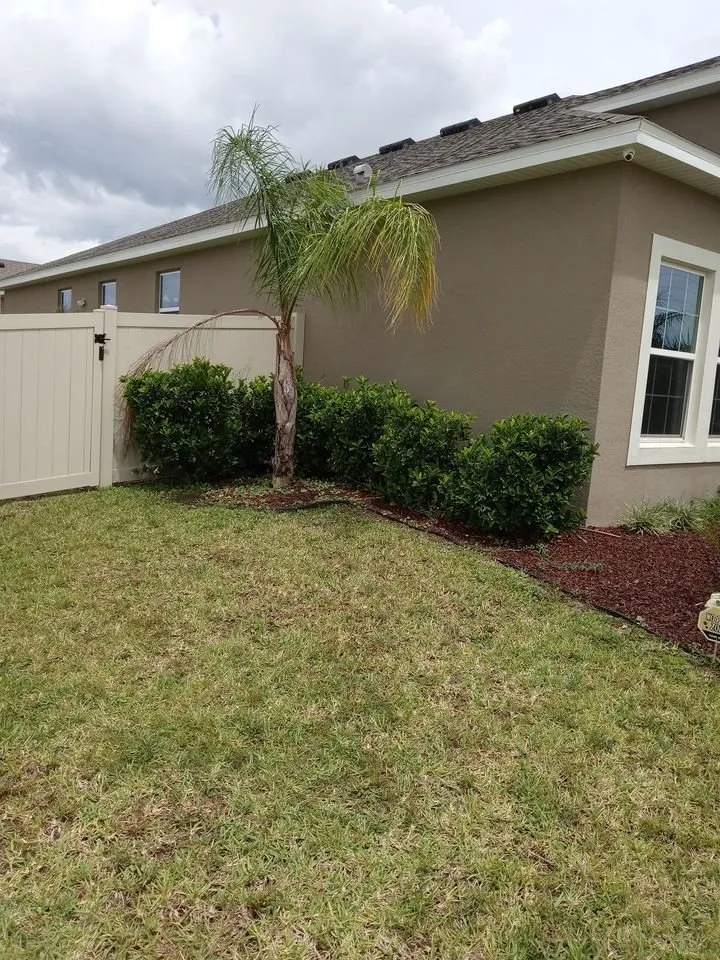 Top-rated outdoor landscaping in St Cloud, FL - Above & Beyond Pressure Washing & Landscaping