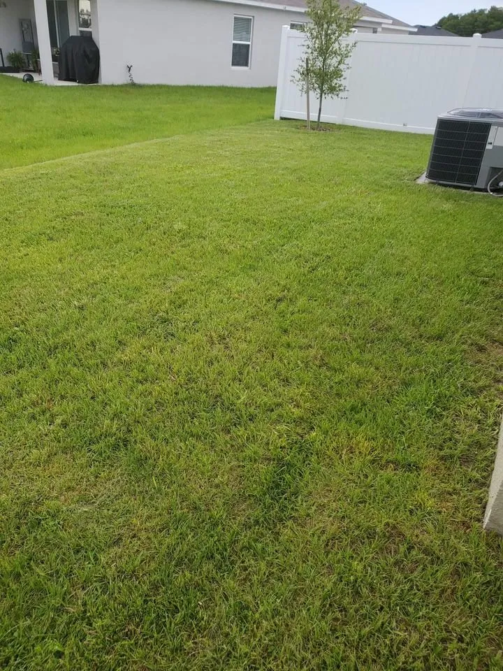 Custom garden landscaping in St Cloud, FL by Above & Beyond Pressure Washing & Landscaping