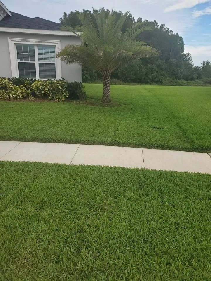 Trusted outdoor landscaping in St Cloud, FL - Above & Beyond Pressure Washing & Landscaping