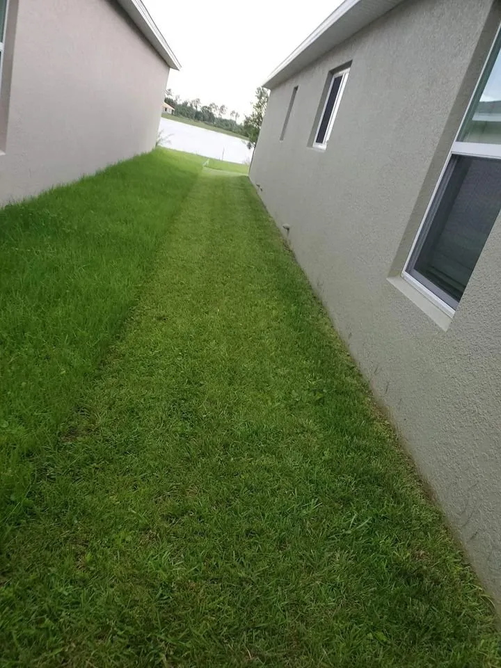 Expert yard cleanup service in St Cloud, FL by Above & Beyond Pressure Washing & Landscaping