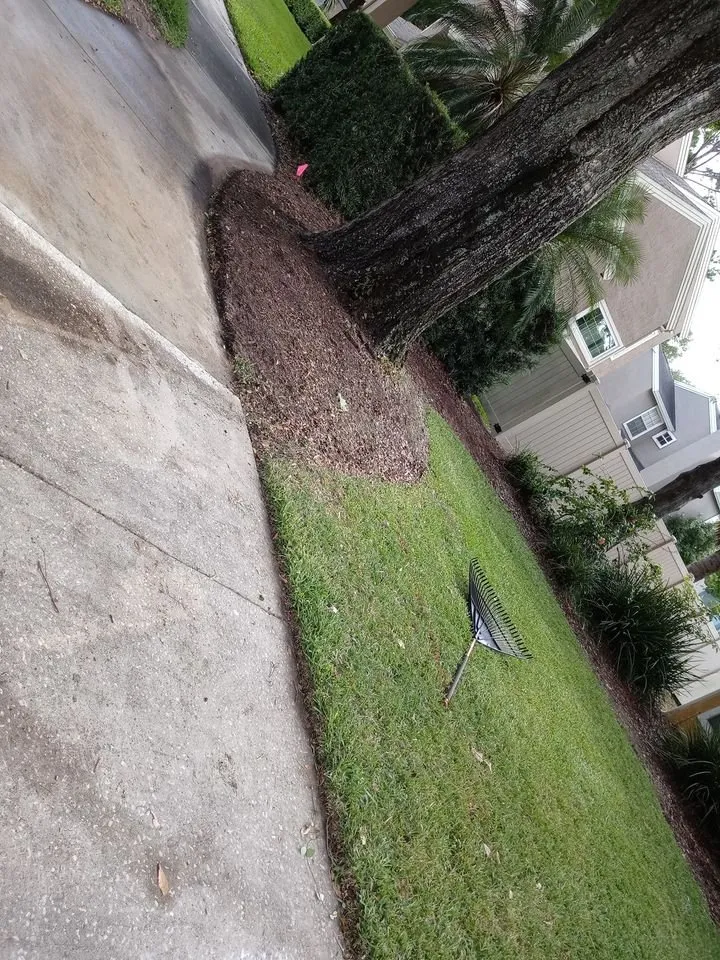 Top-rated lawn mowing service for beautiful yards in St Cloud, FL by Above & Beyond Pressure Washing & Landscaping