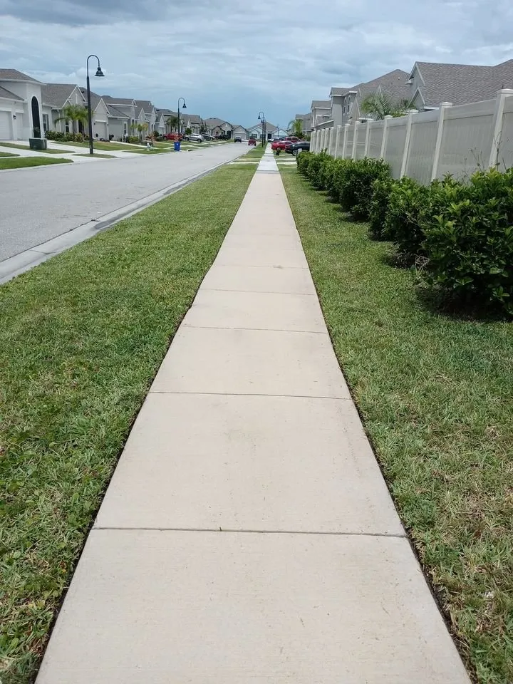 Affordable yard cleanup service in St Cloud, FL by Above & Beyond Pressure Washing & Landscaping