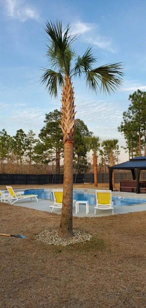 Expert lawn care service in Ridgeway, SC - Above & Beyond Property Services