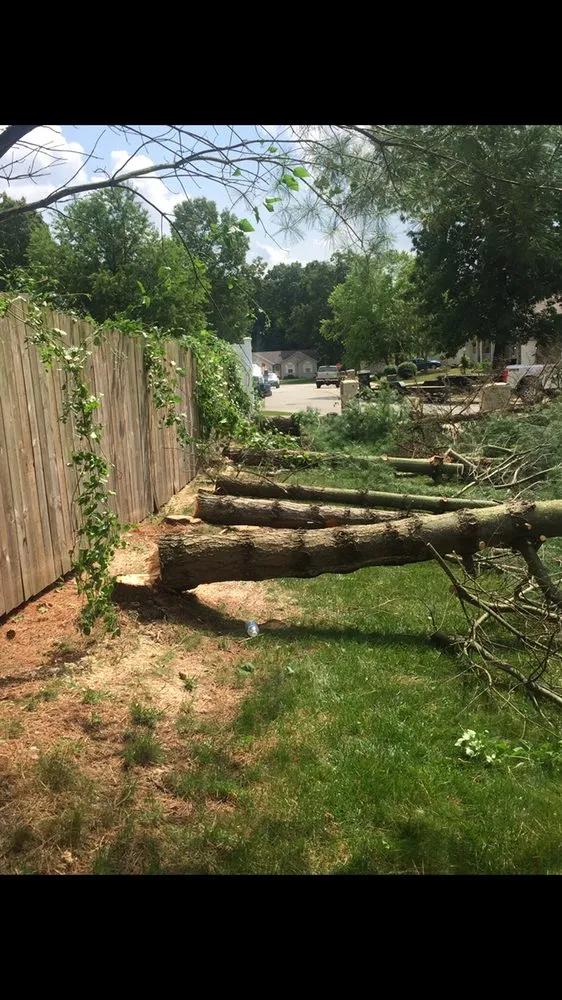 Professional landscape installation in South Bend, IN - Above & Beyond Tree and Shrubbery Service