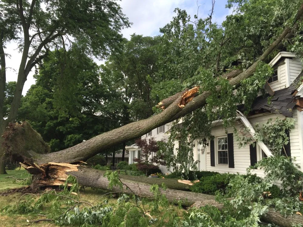 Professional residential landscaping in South Bend, IN by Above & Beyond Tree and Shrubbery Service