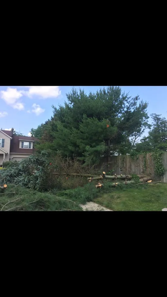 Professional lawn mowing service near you in South Bend, IN by Above & Beyond Tree and Shrubbery Service