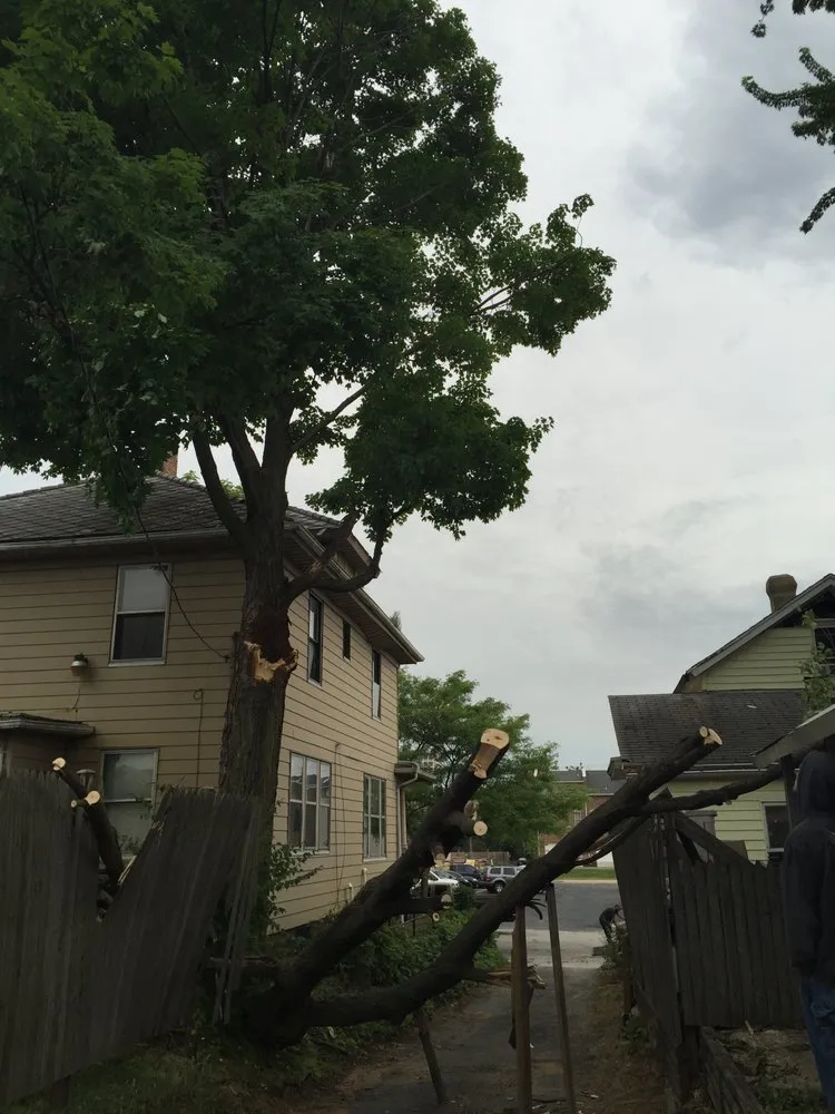 Local garden landscaping in South Bend, IN by Above & Beyond Tree and Shrubbery Service