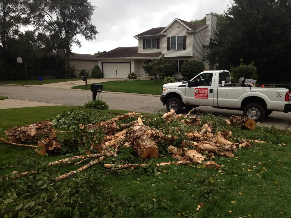 Top-rated lawn care service for year-round maintenance in South Bend, IN by Above & Beyond Tree and Shrubbery Service