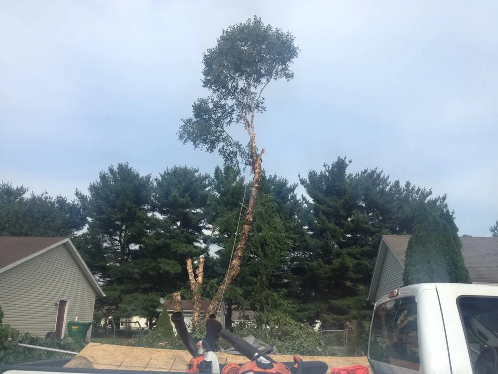 Reliable residential landscaping in South Bend, IN by Above & Beyond Tree and Shrubbery Service