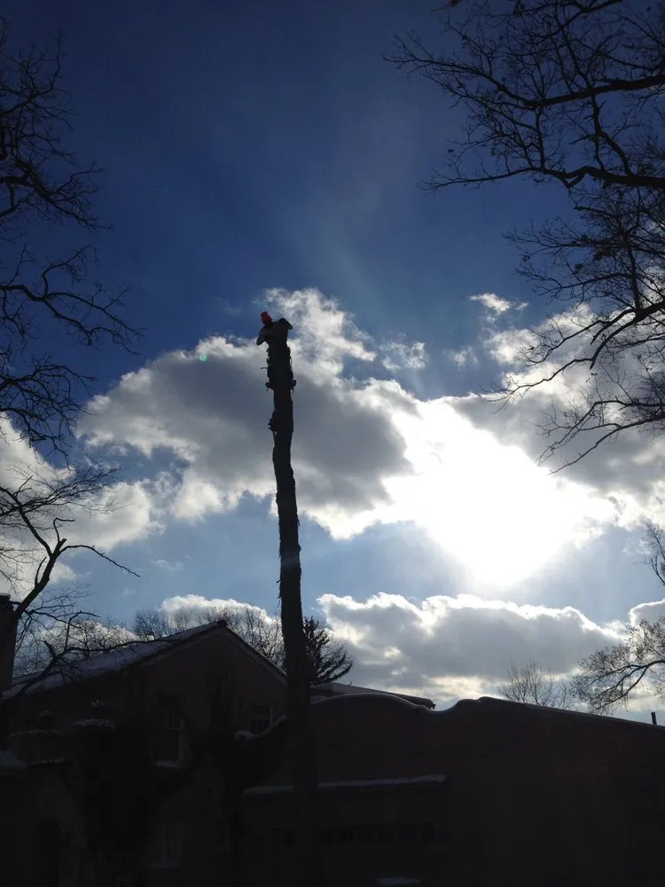 Professional lawn care service in South Bend, IN by Above & Beyond Tree and Shrubbery Service