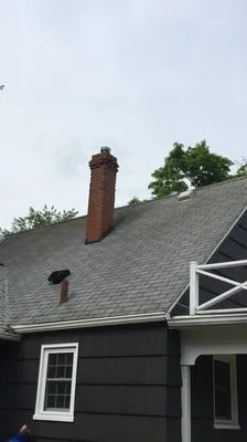 Above & Beyond Tree and Shrubbery Service Logo