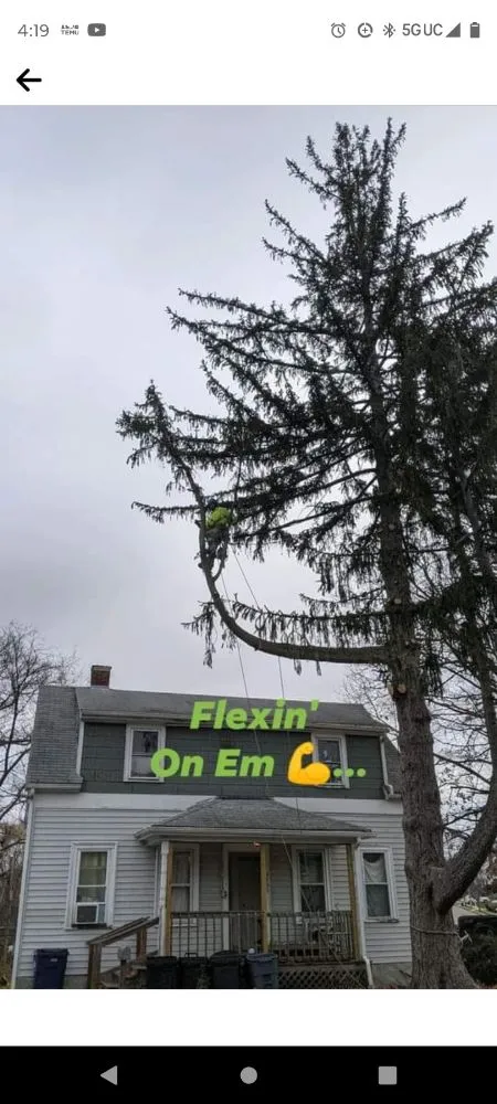 Local garden landscaping experts serving Newton, MA - Above & Beyond Tree Care