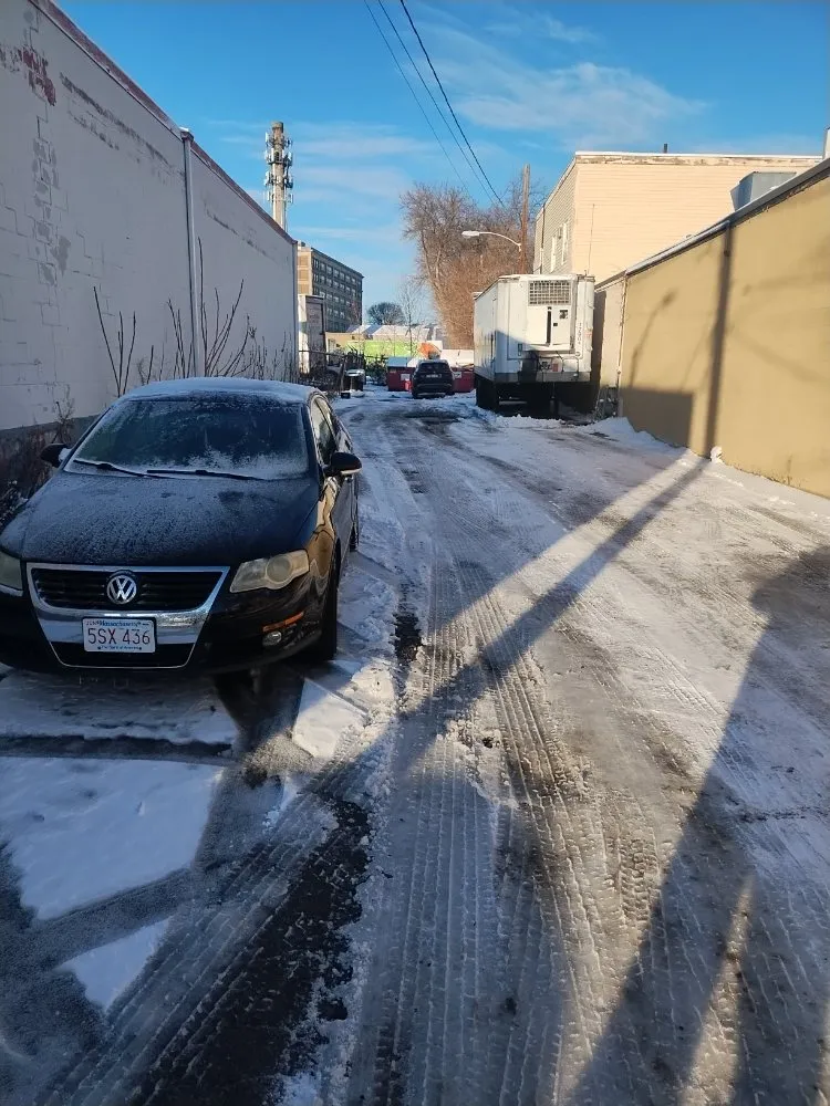 Affordable landscape installation with custom design in Newton, MA by Above & Beyond Tree Care