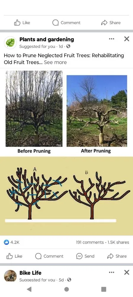 Local landscape design for residential properties in Newton, MA by Above & Beyond Tree Care