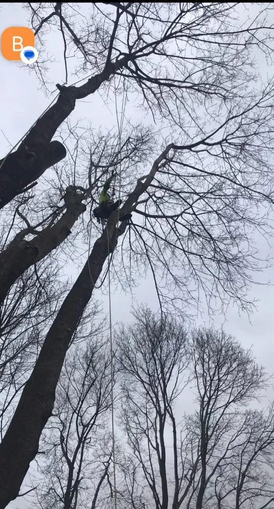 Custom garden landscaping in Newton, MA - Above & Beyond Tree Care