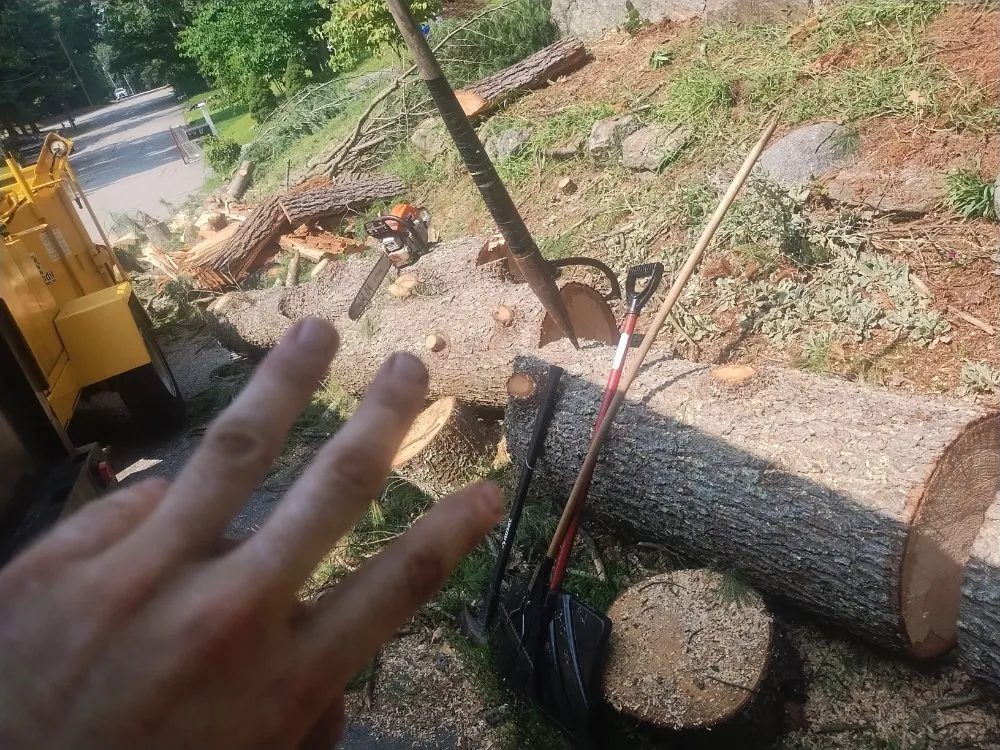 Affordable residential landscaping for residential properties across Newton, MA - Above & Beyond Tree Care