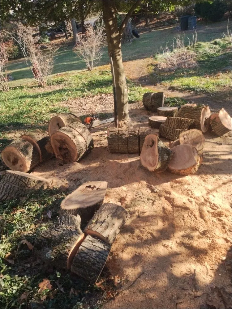 Top-rated outdoor landscaping for residential properties across Newton, MA - Above & Beyond Tree Care