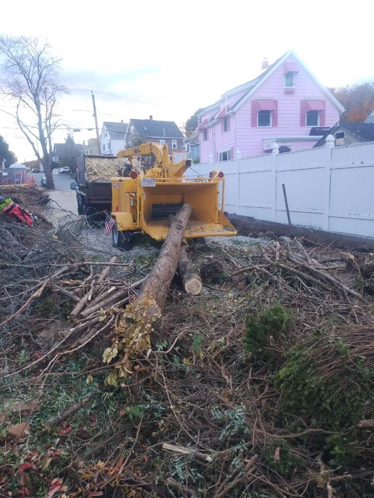 Custom lawn mowing service in Newton, MA by Above & Beyond Tree Care