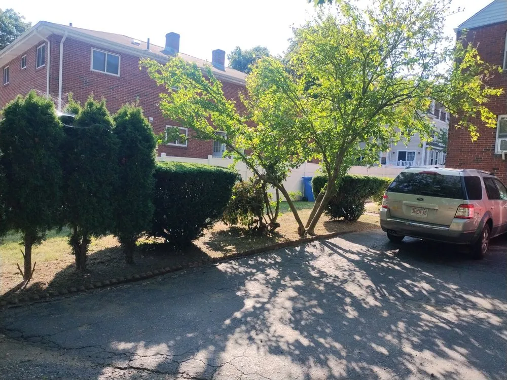 Expert yard maintenance in Newton, MA - Above & Beyond Tree Care