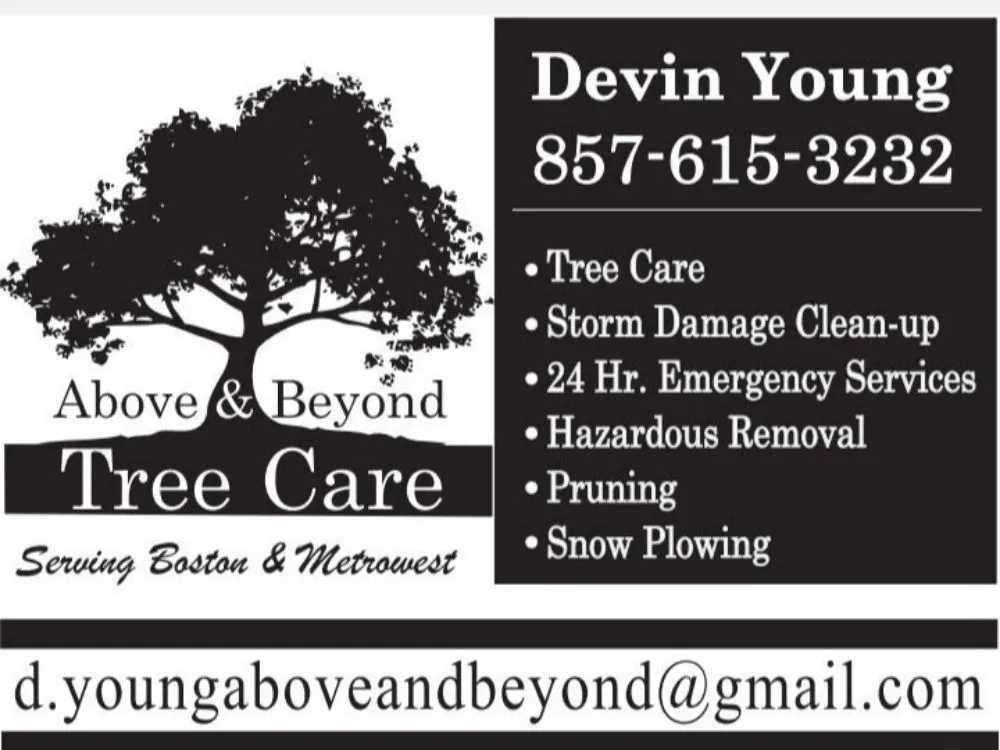 Professional garden landscaping with custom design across Newton, MA - Above & Beyond Tree Care