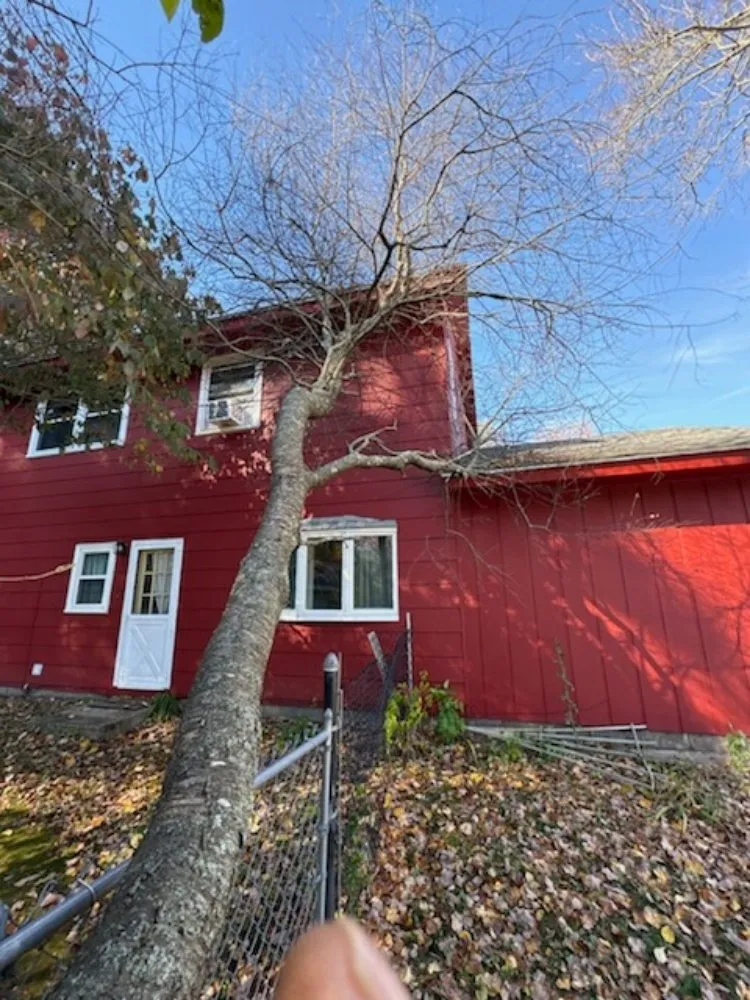 Trusted outdoor landscaping in Newton, MA by Above & Beyond Tree Care