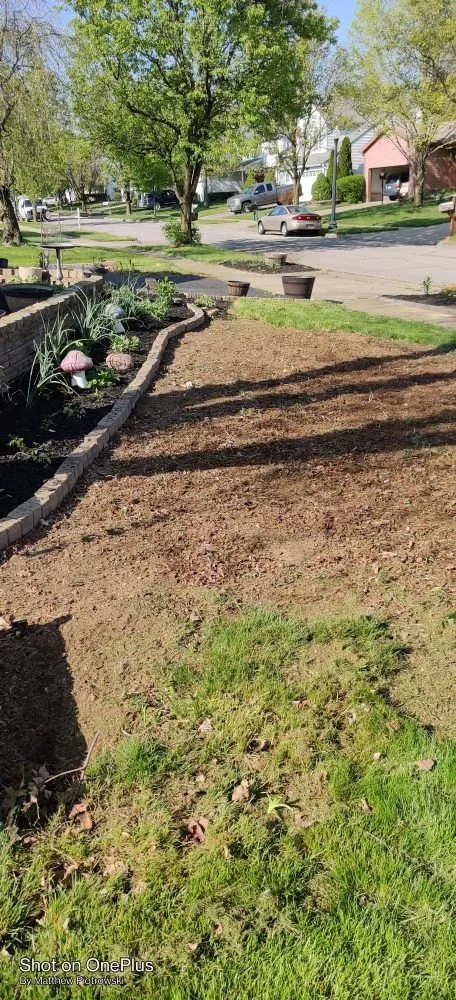 Custom lawn care service in Columbus, OH - Above & Beyond Ur Needs