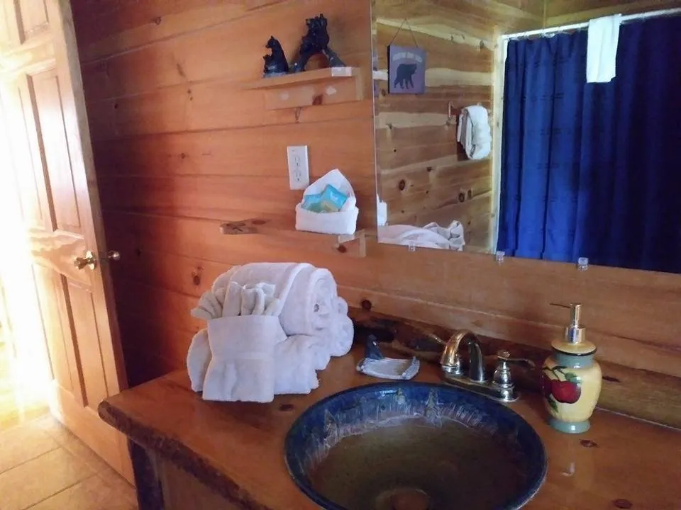 Custom yard maintenance in Pigeon Forge, TN by Above All Cleaning and Maintenance in The Smokies