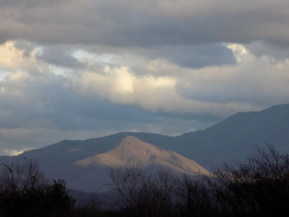 Reliable yard cleanup service in Pigeon Forge, TN by Above All Cleaning and Maintenance in The Smokies