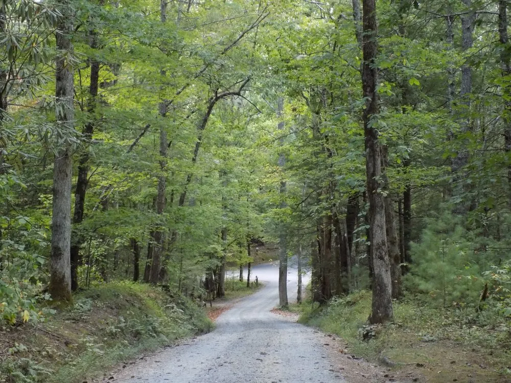 Expert garden landscaping near you in Pigeon Forge, TN by Above All Cleaning and Maintenance in The Smokies