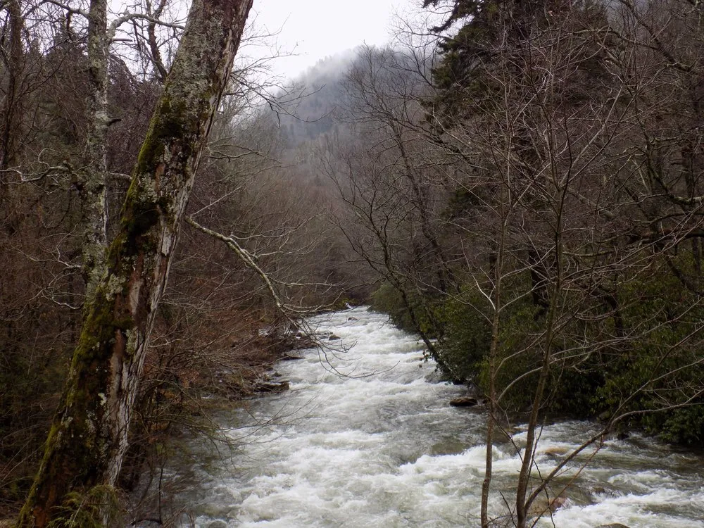 Professional landscape design experts serving Pigeon Forge, TN - Above All Cleaning and Maintenance in The Smokies