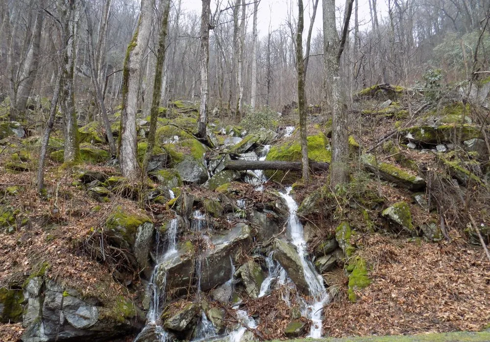 Custom residential landscaping for homes across Pigeon Forge, TN - Above All Cleaning and Maintenance in The Smokies