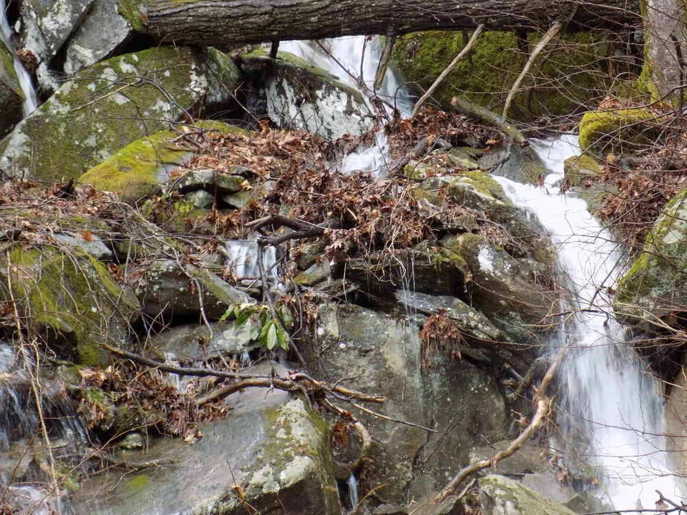 Custom landscape installation experts serving Pigeon Forge, TN - Above All Cleaning and Maintenance in The Smokies