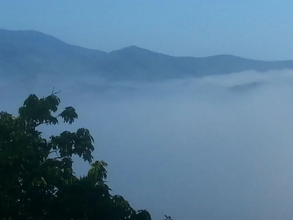 Local outdoor landscaping for residential properties across Pigeon Forge, TN - Above All Cleaning and Maintenance in The Smokies