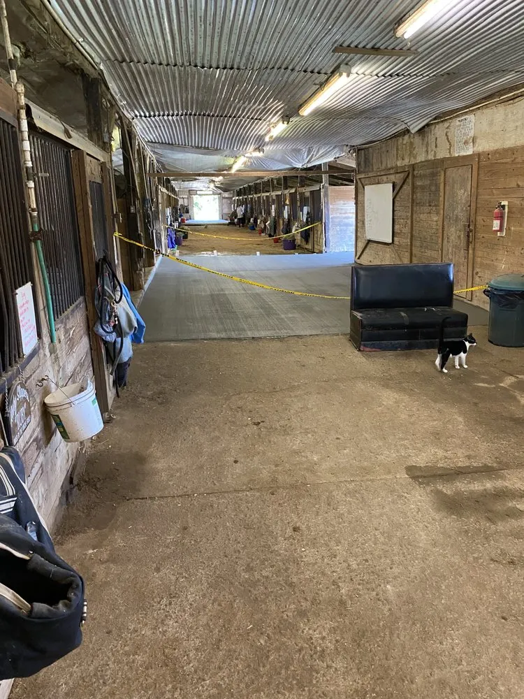 Trusted lawn mowing service for year-round maintenance across Stone Mountain, GA - Above All Concrete