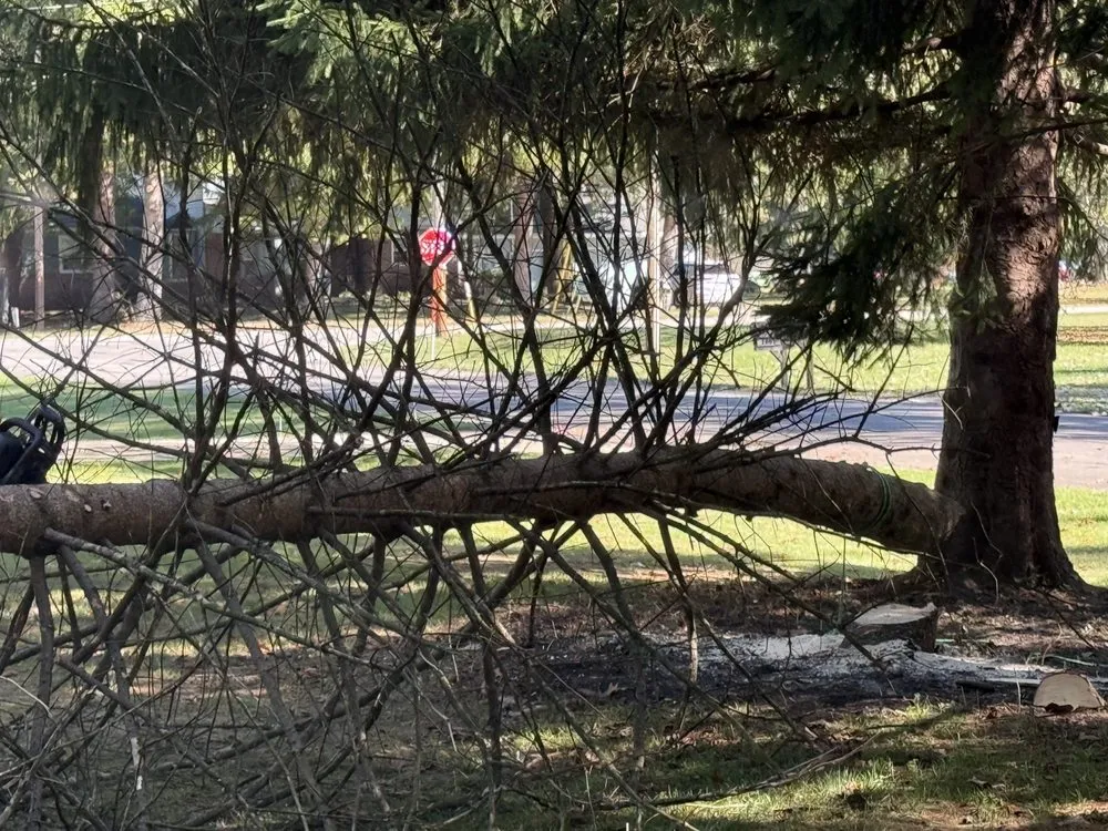 Expert lawn mowing service for beautiful yards in Toledo, OH by Above All Gutter Cleaning