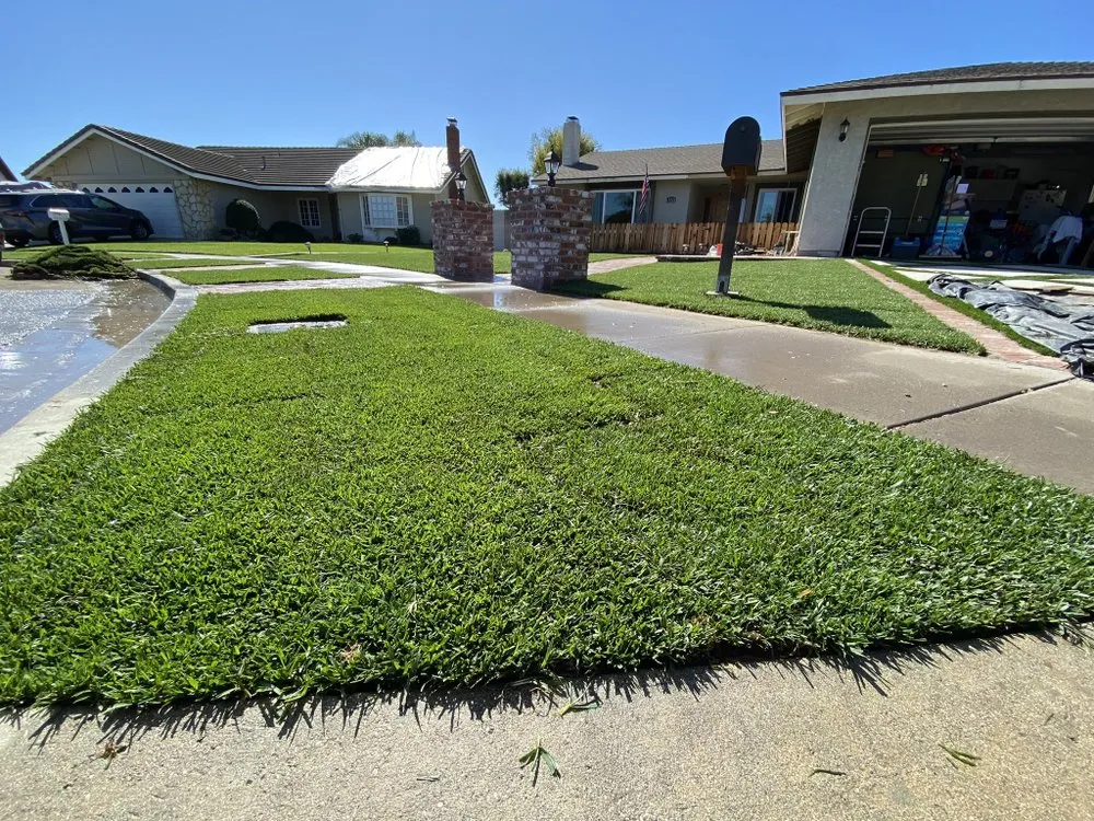Local lawn mowing service with custom design across Anaheim, CA - Above All Landscape Company