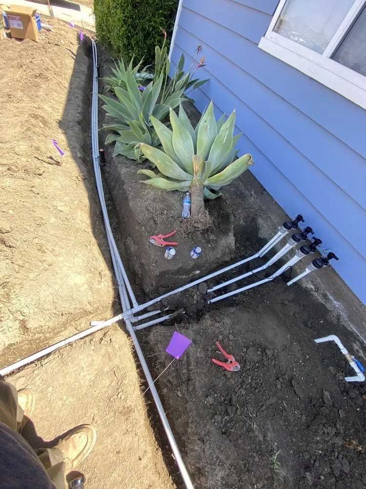 Affordable yard maintenance in Anaheim, CA - Above All Landscape Company