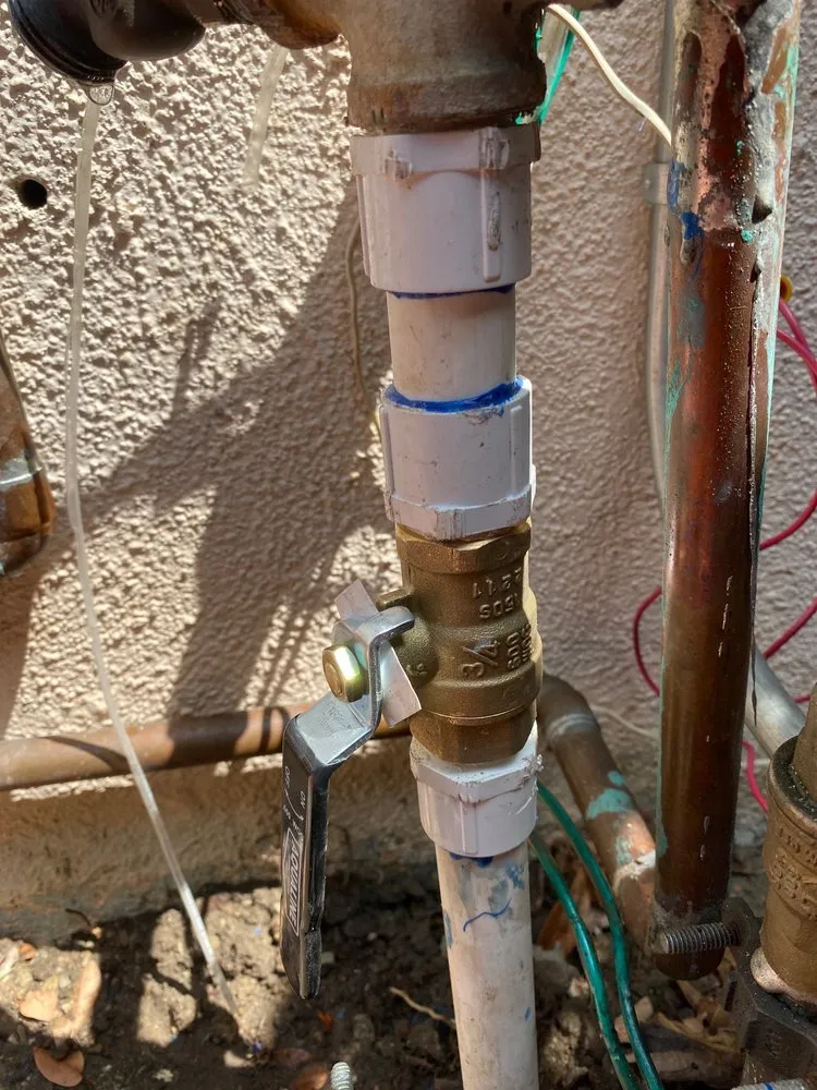 Expert yard cleanup service in Anaheim, CA - Above All Landscape Company