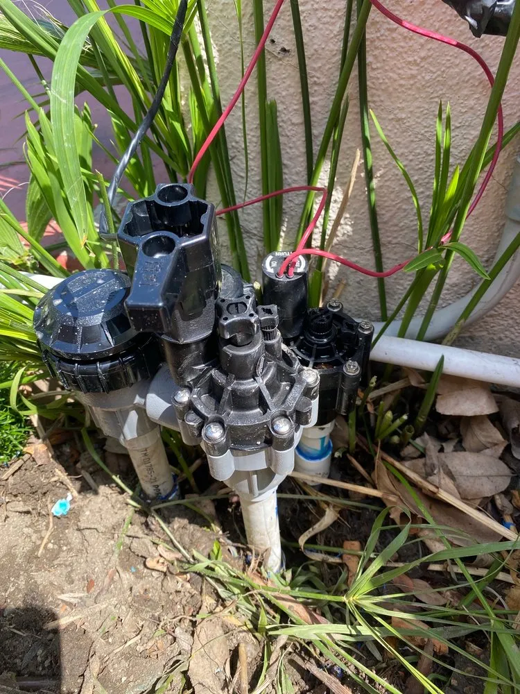 Trusted residential landscaping for year-round maintenance in Anaheim, CA by Above All Landscape Company