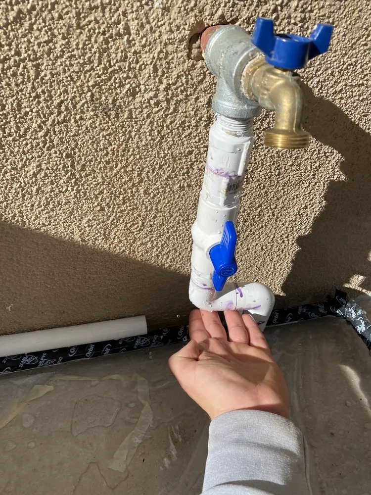 Expert yard cleanup service experts serving Anaheim, CA - Above All Landscape Company