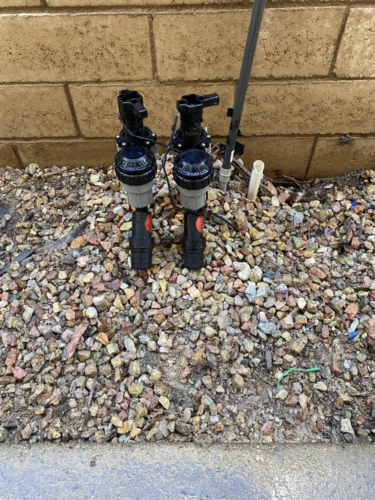 Trusted residential landscaping in Anaheim, CA by Above All Landscape Company