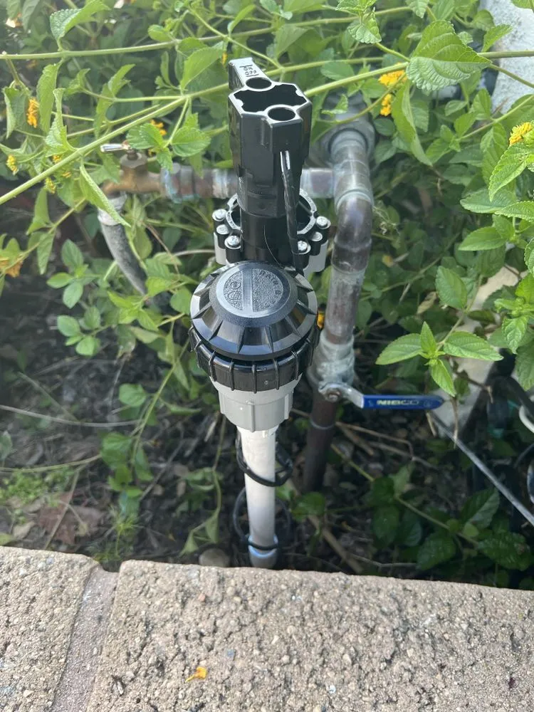 Custom yard cleanup service with custom design across Anaheim, CA - Above All Landscape Company