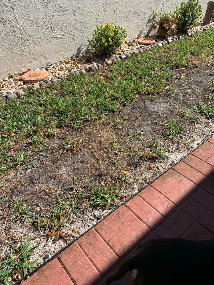 Expert outdoor landscaping in Margate, FL by Above-All Landscape Maintenance