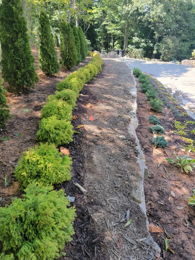Top-rated landscape installation experts serving Balsam Grove, NC - Above All Landscaping & Maintenance