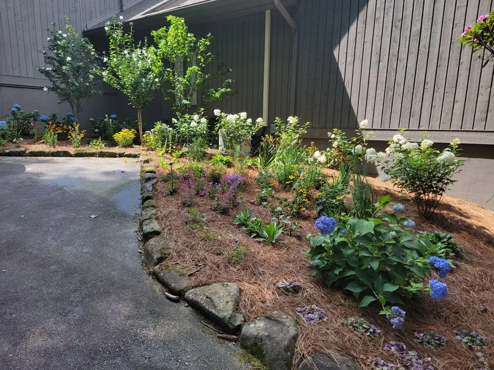 Affordable landscaping services in Balsam Grove, NC - Above All Landscaping & Maintenance