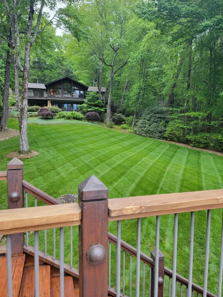 Reliable yard cleanup service experts serving Balsam Grove, NC - Above All Landscaping & Maintenance