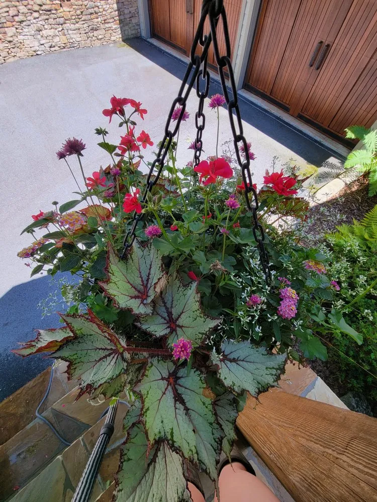 Local outdoor landscaping in Balsam Grove, NC by Above All Landscaping & Maintenance
