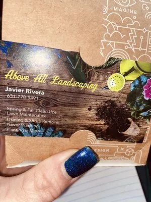 Above All Landscaping Logo