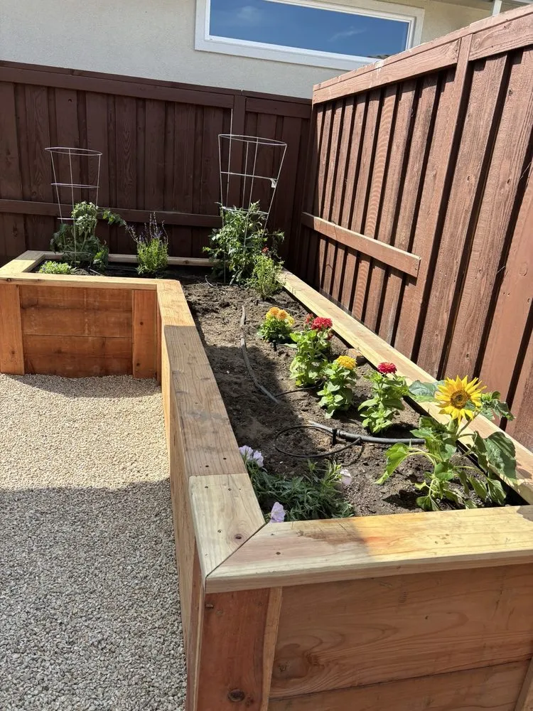 Professional garden landscaping in Folsom, CA by Above All Landscaping