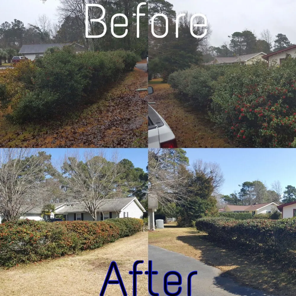 Local outdoor landscaping for homes across Myrtle Beach, SC - Above All Landscaping